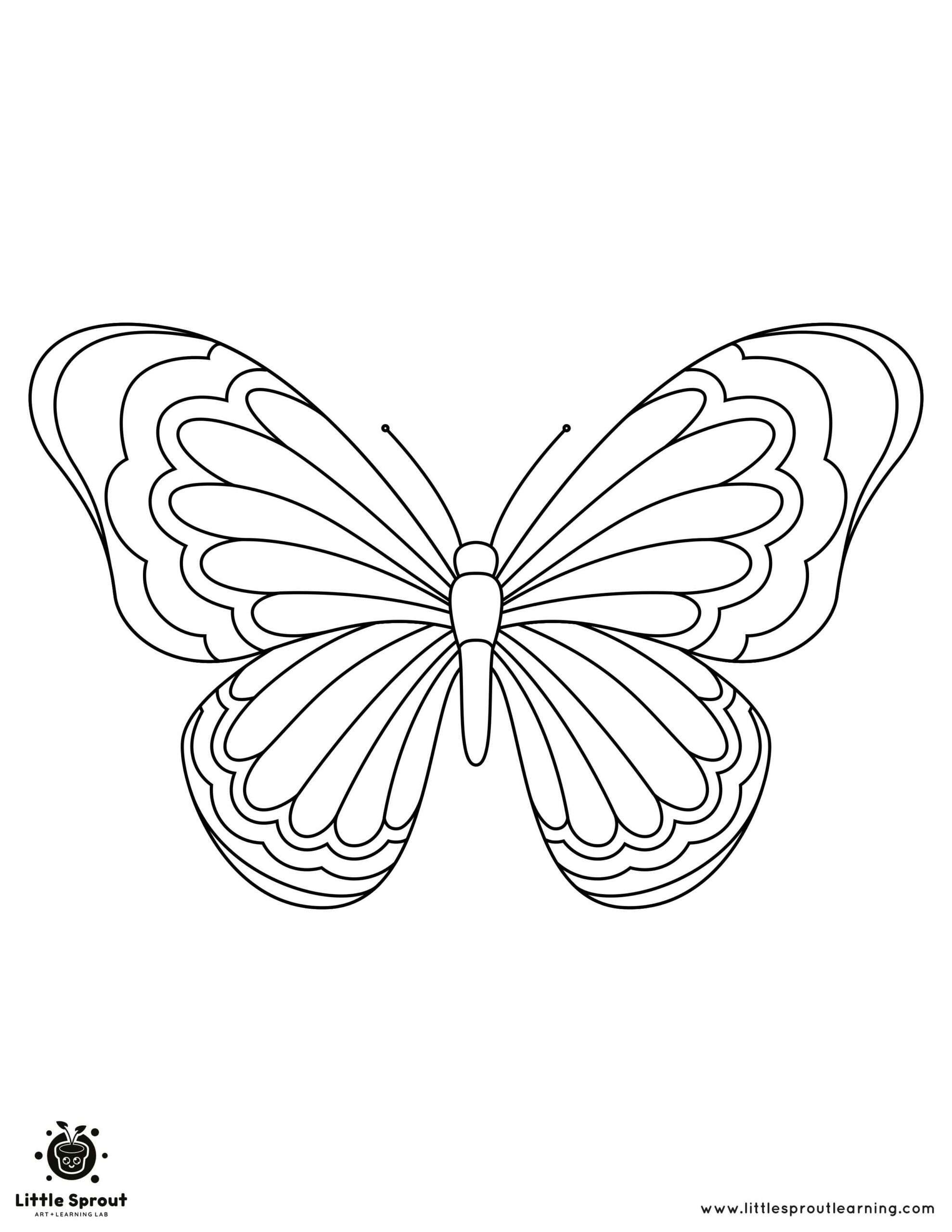 Beautiful Butterfly Coloring Pages