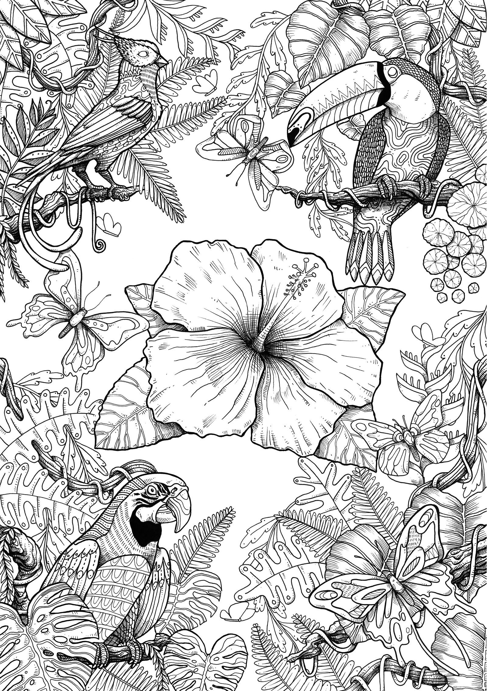 10 Detailed Animal Coloring Pages For Creative Minds 10 Detailed Animal Coloring Pages For Creative Minds
