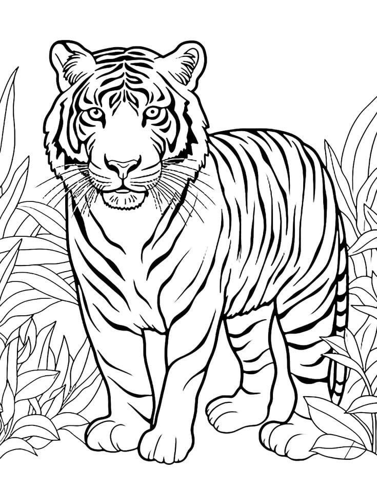 10 Fun Animal Coloring Pages For Preschoolers 10 Fun Animal Coloring Pages For Preschoolers