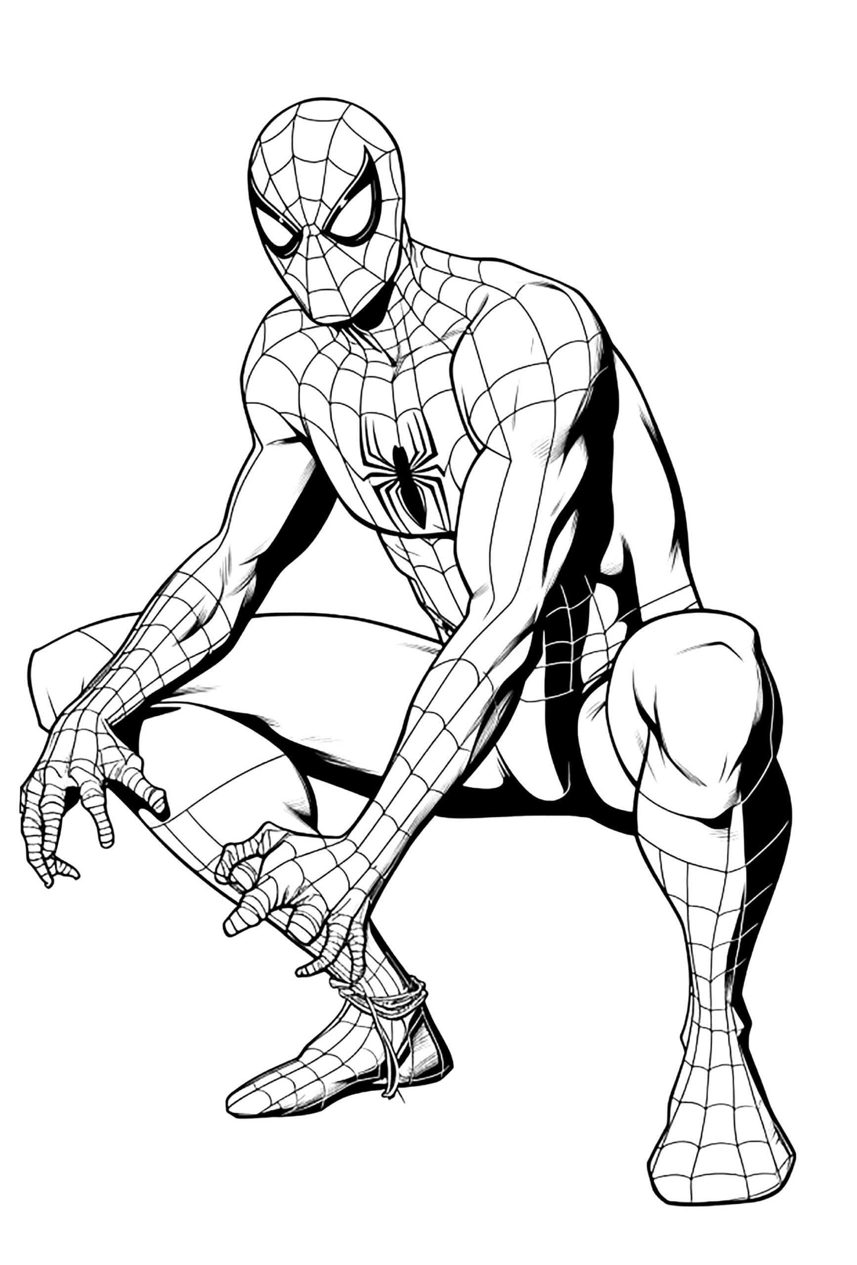 10 Spiderman Coloring Pages PDF Adults Bratz Coloring 10 Spiderman Coloring Pages PDF Adults Bratz Coloring