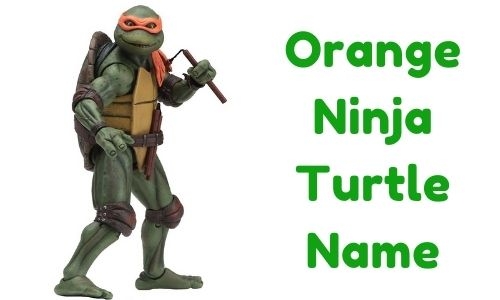  1000 Orange Ninja Turtle Name Funny Unique Famous 