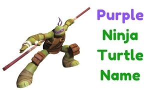 1000 Purple Ninja Turtle Name Funny Unique Famous 1000 Purple Ninja Turtle Name Funny Unique Famous