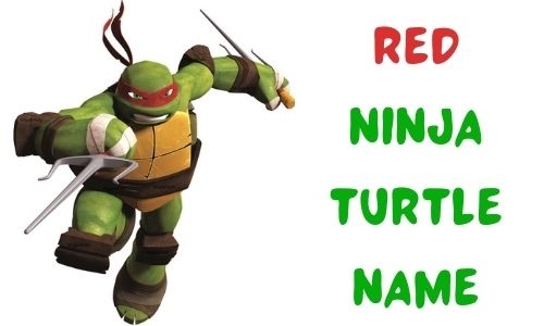 1000 Red Ninja Turtle Name Funny Unique Famous Badass