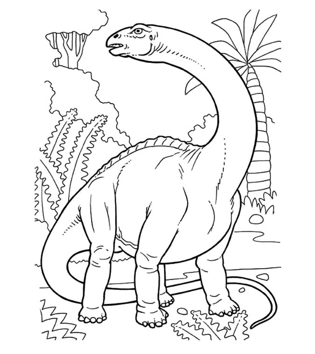 11 Best Dinosaur Coloring 11 Best Dinosaur Coloring