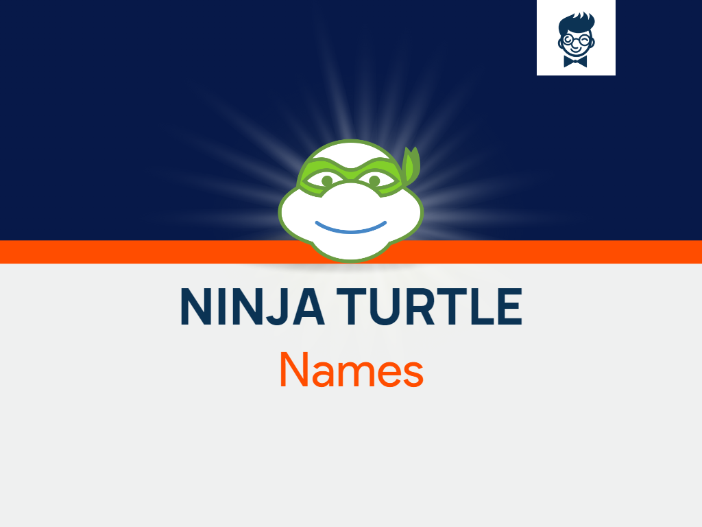 155 Ninja Turtle Names That Stole Our Heart BrandBoy