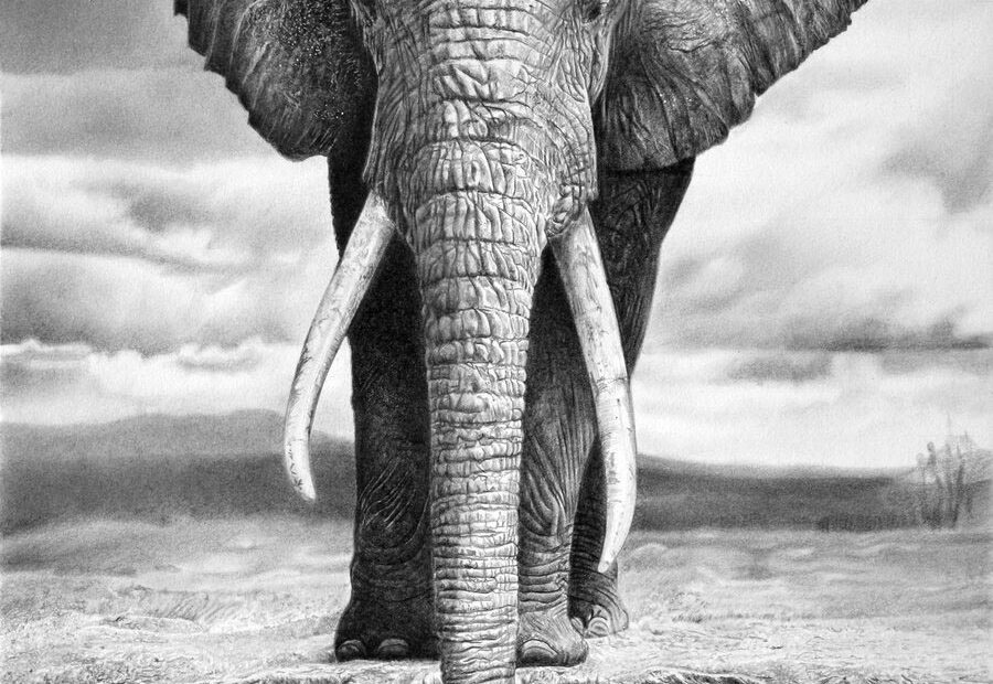 25 Beautiful And Realistic Animal Drawings Around The World