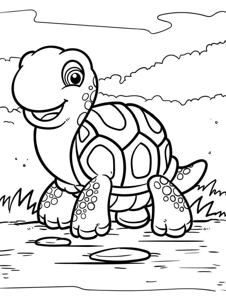 25 Free Turtle Coloring Pages For Kids And Adults 25 Free Turtle Coloring Pages For Kids And Adults