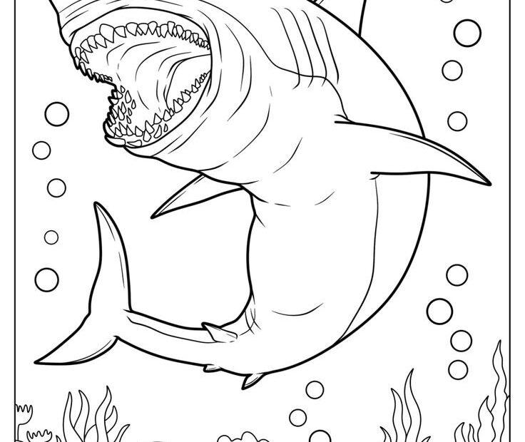 34 Shark Coloring Pages Free PDF Printables