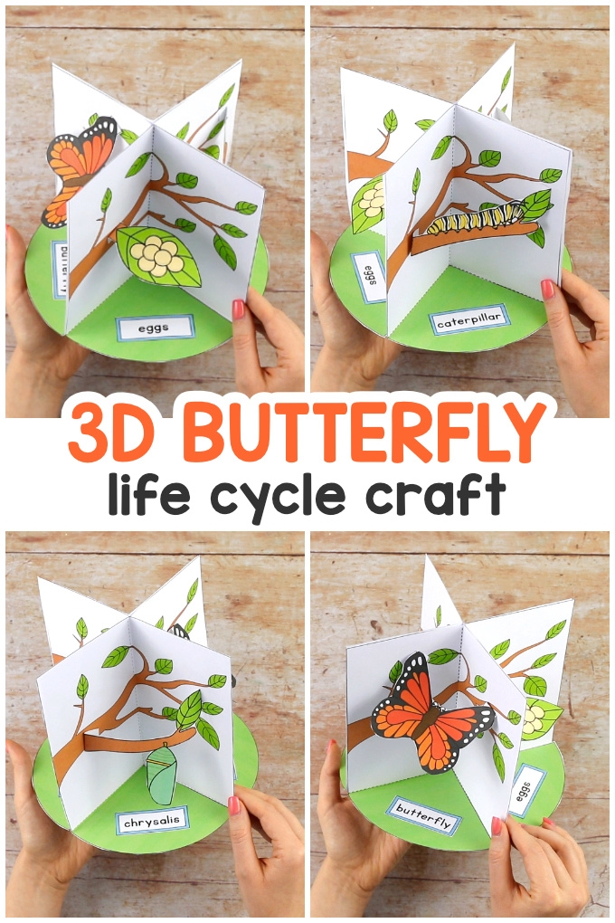 Butterfly Life Cycle Projects for Kids Butterfly Life Cycle Projects for Kids