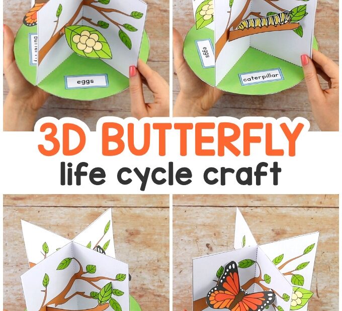3d Butterfly Life Cycle Craft Butterfly Life Cycle Craft Life Cycle