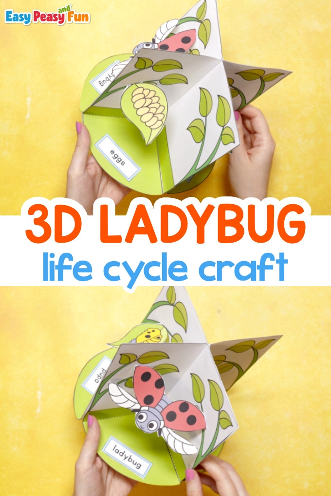 3D Ladybug Life Cycle Craft Easy Peasy And Fun 3D Ladybug Life Cycle Craft Easy Peasy And Fun