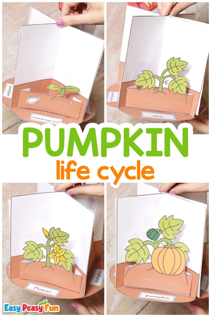 3D Pumpkin Life Cycle Craft Easy Peasy And Fun 3D Pumpkin Life Cycle Craft Easy Peasy And Fun