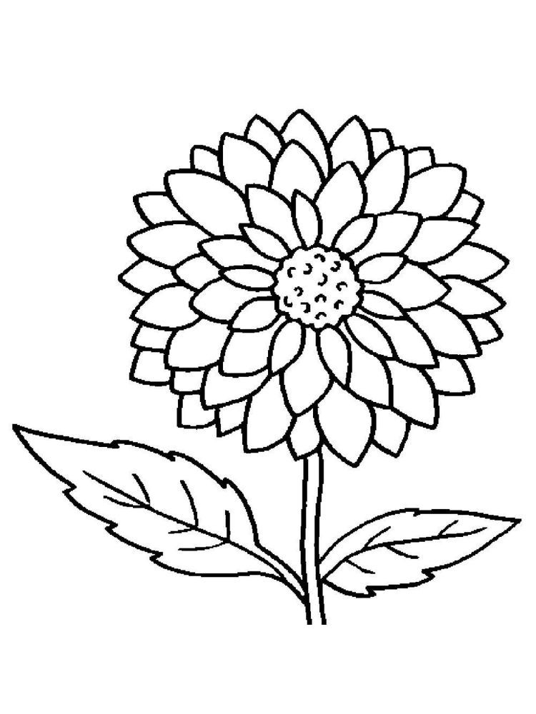 printable coloring pages flowers printable coloring pages flowers