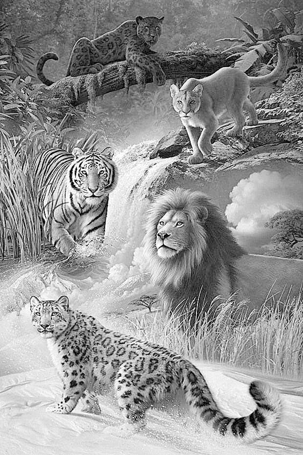 40 Realistic Animal Pencil Drawings 40 Realistic Animal Pencil Drawings