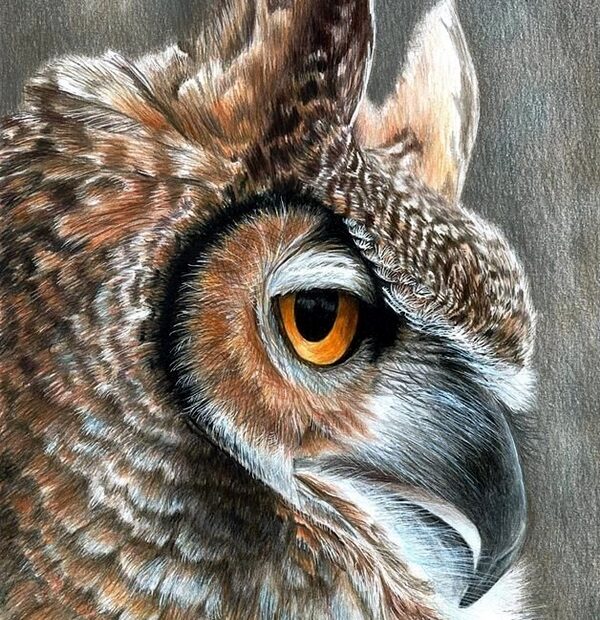 40 Realistic Animal Pencil Drawings