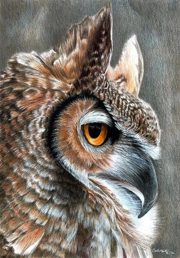 40 Realistic Animal Pencil Drawings 40 Realistic Animal Pencil Drawings