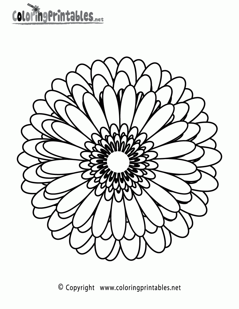 42 Simple Coloring Pages For Adults Printable Ideas In 2021