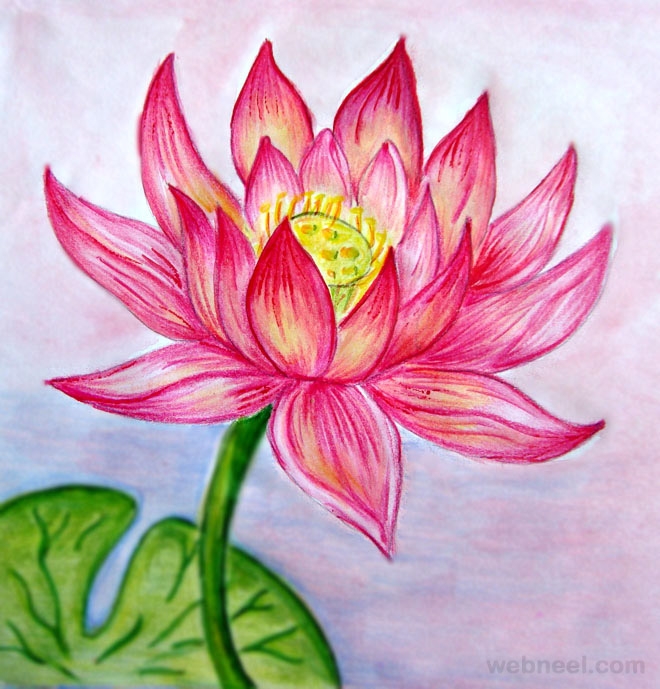 cool flower drawings with color cool flower drawings with color
