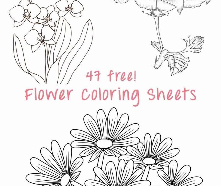 47 Best Flower Coloring Sheets For Free Artsy Pretty Plants Flower