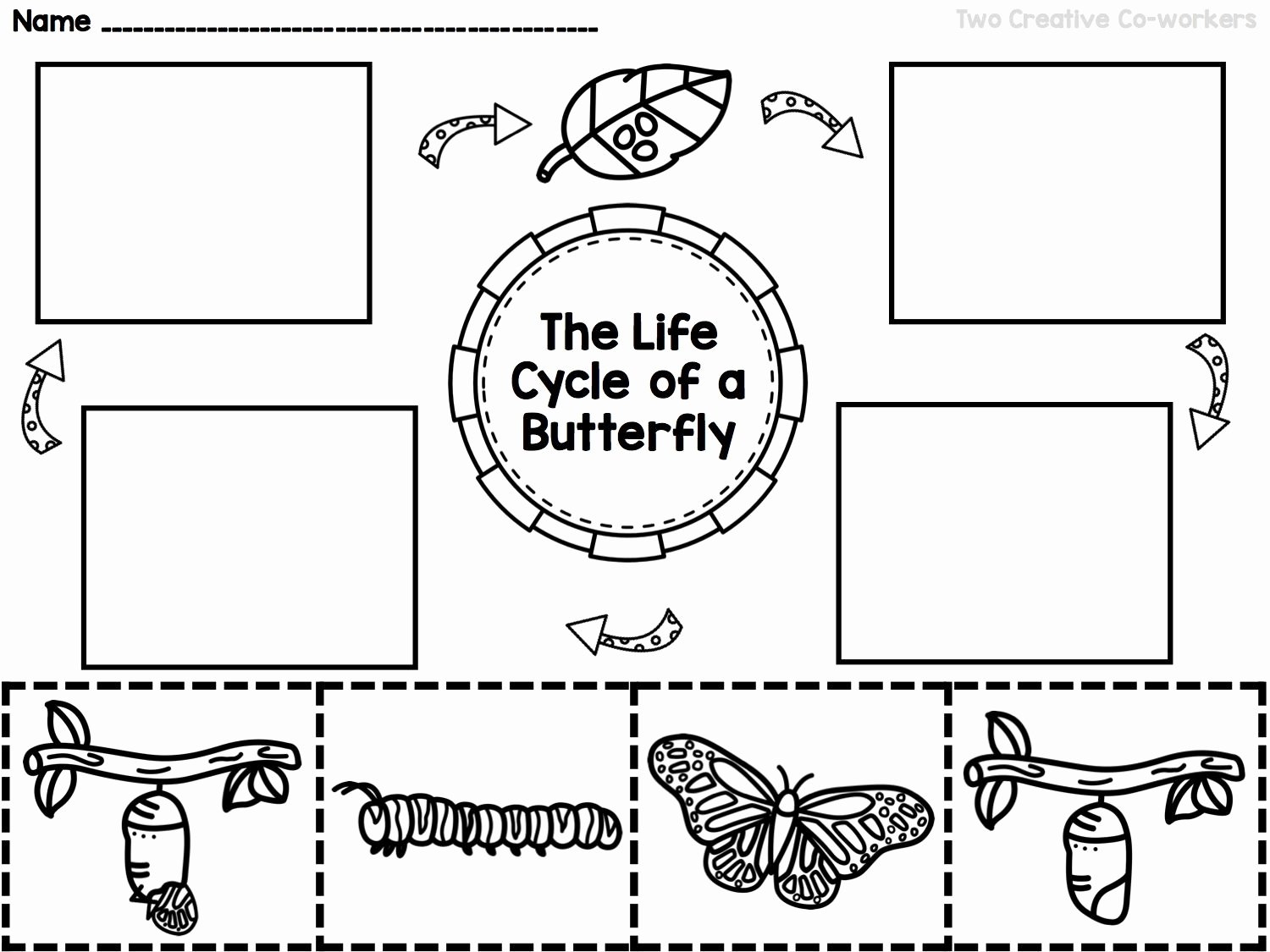 Butterfly Life Cycle Book Butterfly Life Cycle Book