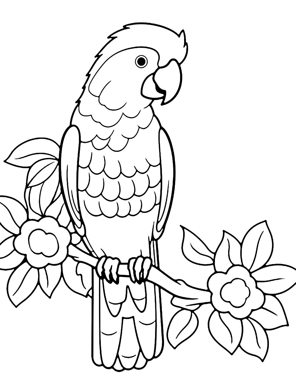 printable animals coloring sheets printable animals coloring sheets