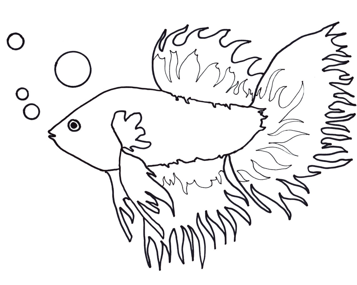 8x10 Coloring Pages Coloring Pages 8x10 Coloring Pages Coloring Pages