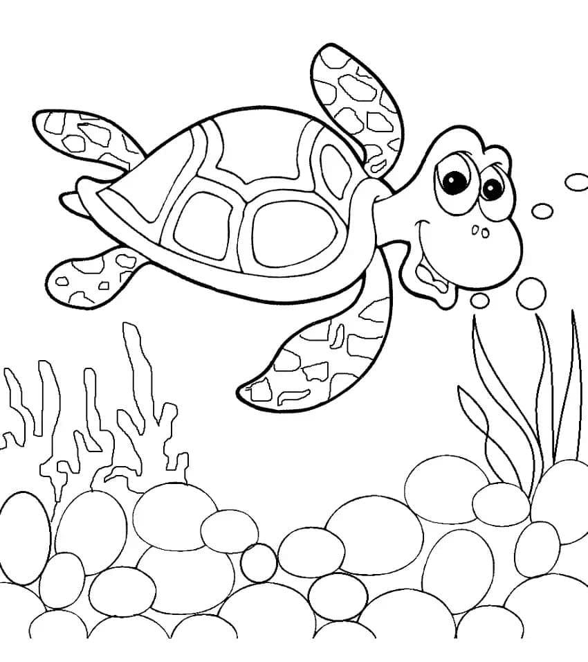 sea turtle coloring page sea turtle coloring page