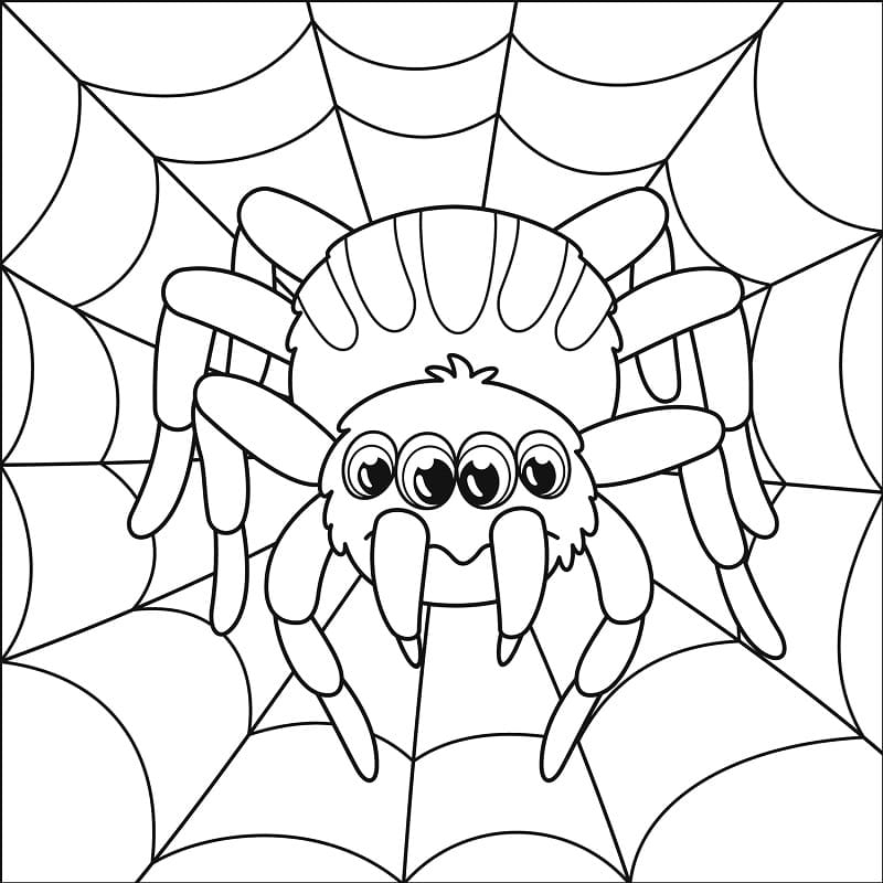 Adorable Spider Coloring Page Free Printable Coloring Pages For Kids Adorable Spider Coloring Page Free Printable Coloring Pages For Kids