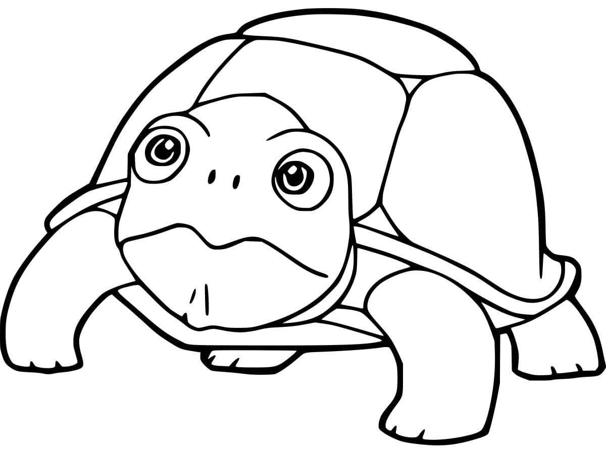 Adorable Tortoise Coloring Page Download Print Or Color Online For Free Adorable Tortoise Coloring Page Download Print Or Color Online For Free