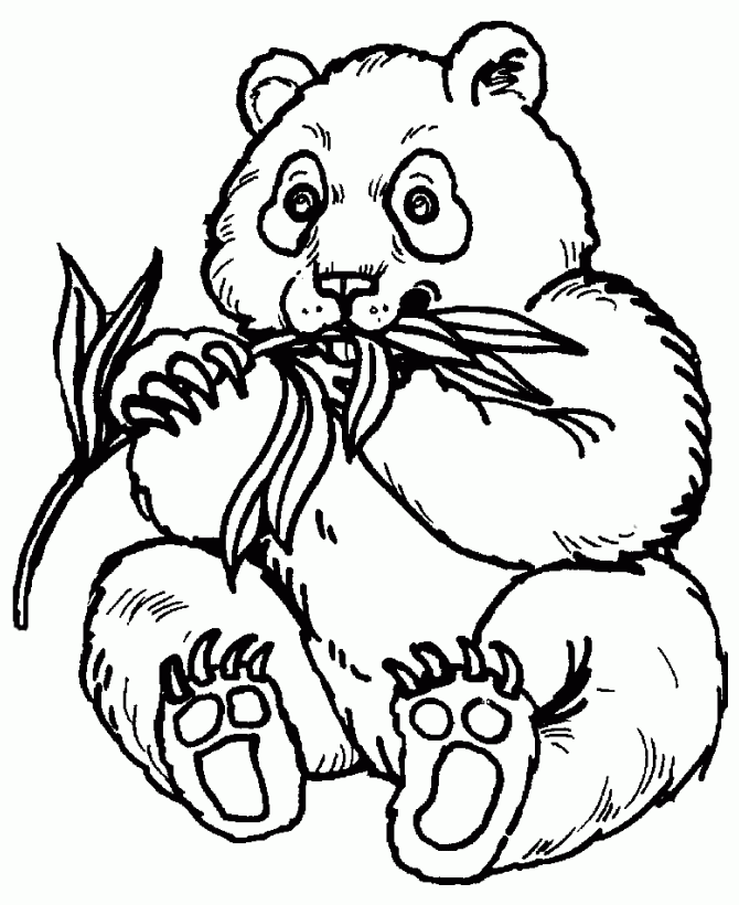 Adult Coloring Pages Panda Coloring Pages Adult Coloring Pages Panda Coloring Pages