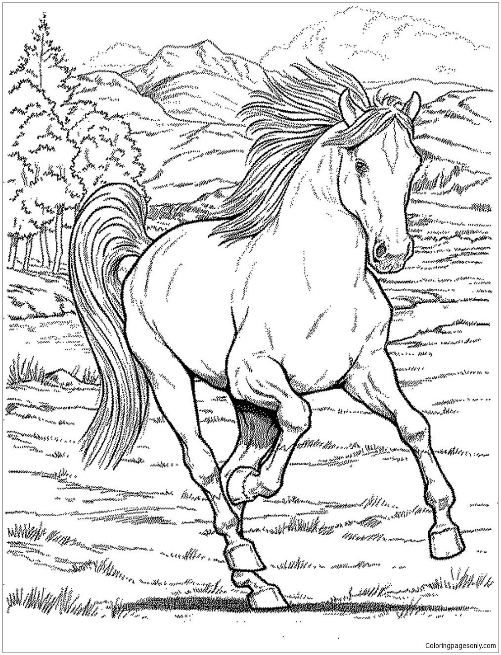 Adult Coloring Pages Printable Horse Beryren Adult Coloring Pages Printable Horse Beryren