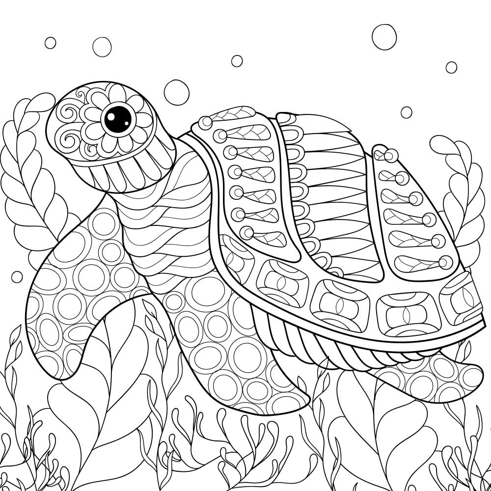 Adult Turtle Coloring Pages In Turtle Coloring Pages Coloring My XXX Adult Turtle Coloring Pages In Turtle Coloring Pages Coloring My XXX