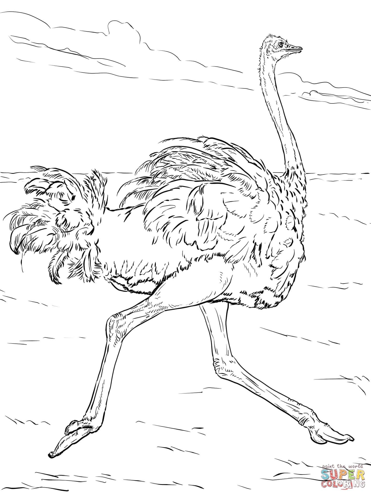 African Animals Coloring Page Coloring Home African Animals Coloring Page Coloring Home