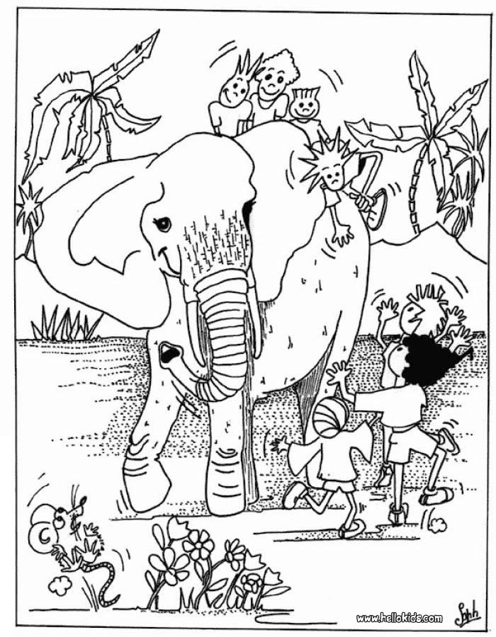 African Animals Coloring Page Coloring Home African Animals Coloring Page Coloring Home