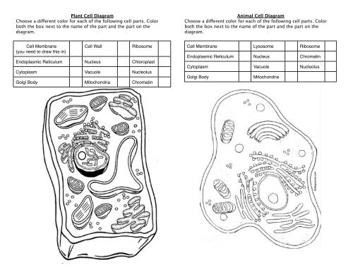 Animal Cell Coloring Diagram Coloring Pages Animal Cell Coloring Diagram Coloring Pages