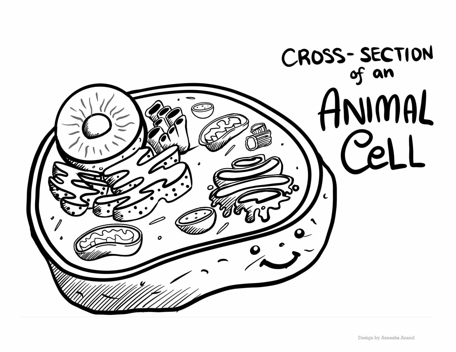 animal cell diagram coloring sheet animal cell diagram coloring sheet