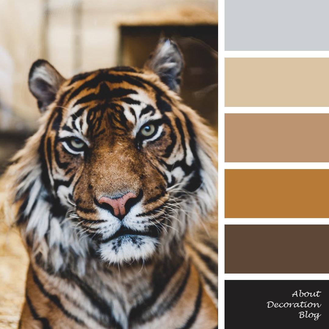 Animal Color Palette AboutDecorationBlog Animal Color Palette AboutDecorationBlog