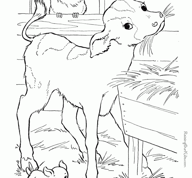 Animal Coloring Book Pages Coloring Home