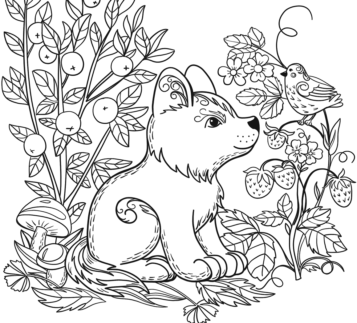 animal coloring page animal coloring page