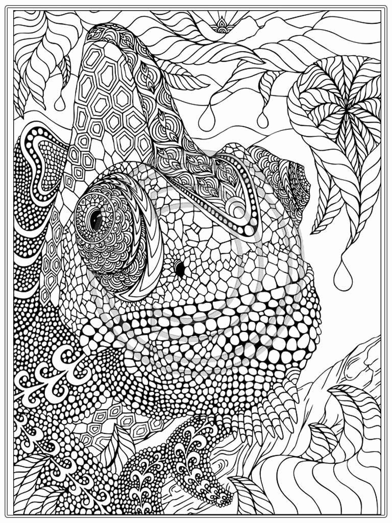 Animal Coloring Pages For Adults Printable At GetColorings Free Animal Coloring Pages For Adults Printable At GetColorings Free