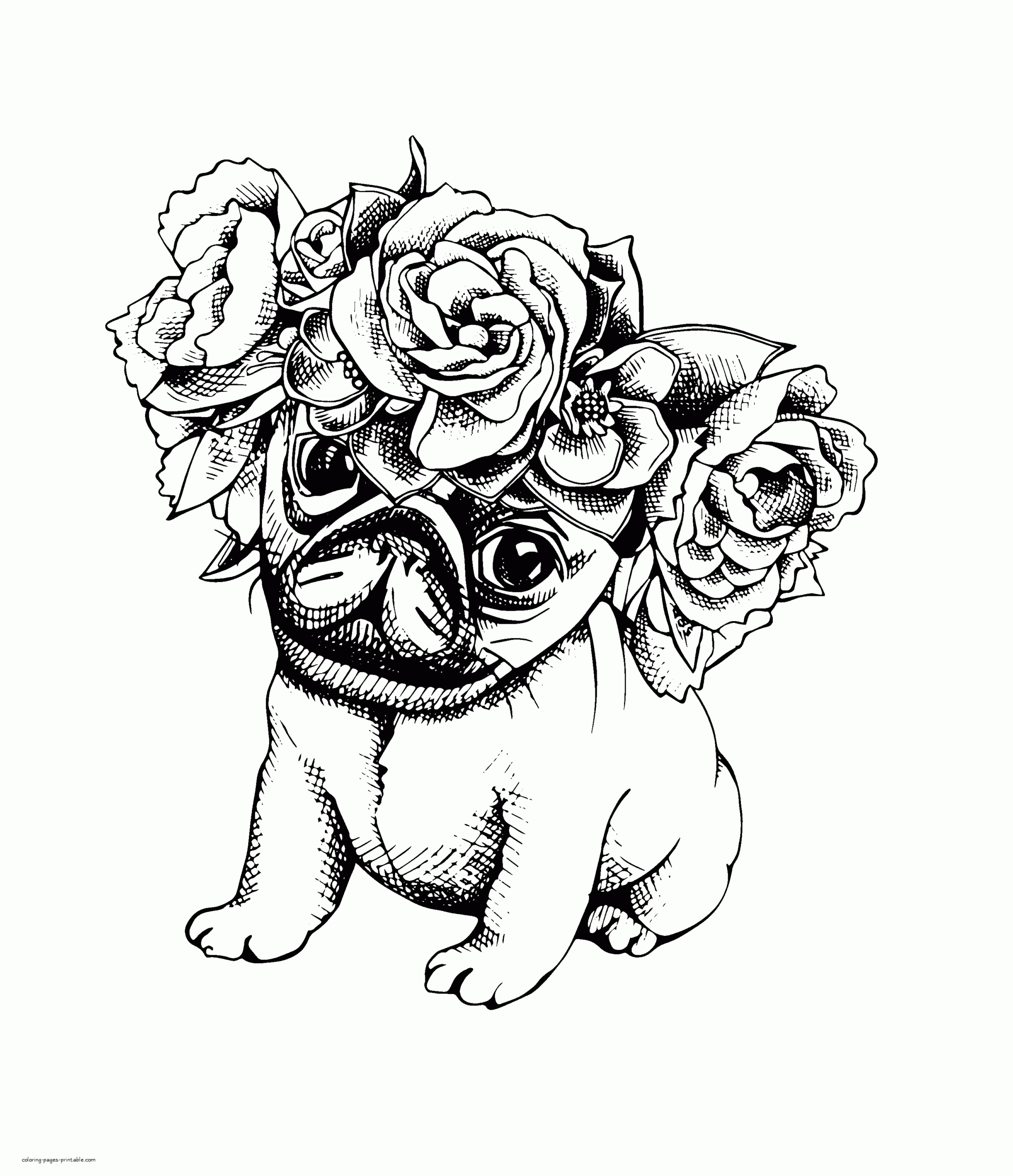Animal Coloring Pages For Adults Puppy COLORING PAGES PRINTABLE COM Animal Coloring Pages For Adults Puppy COLORING PAGES PRINTABLE COM
