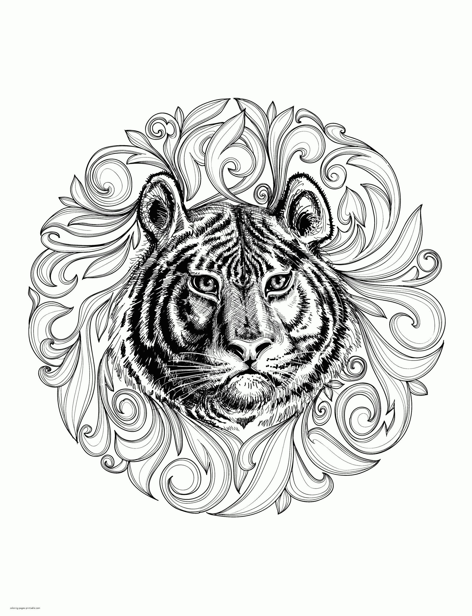 Animal Coloring Pages For Adults Realistic Tiger COLORING PAGES Animal Coloring Pages For Adults Realistic Tiger COLORING PAGES