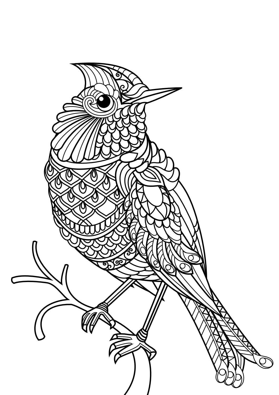 Animal Coloring Pages Pdf Artofit Animal Coloring Pages Pdf Artofit