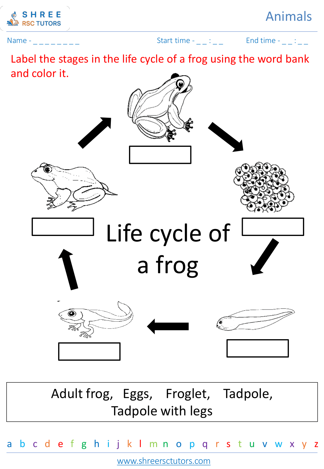 Animal Life Cycle Worksheets For Grade 2 Science Shree Rsc Tutors Animal Life Cycle Worksheets For Grade 2 Science Shree Rsc Tutors