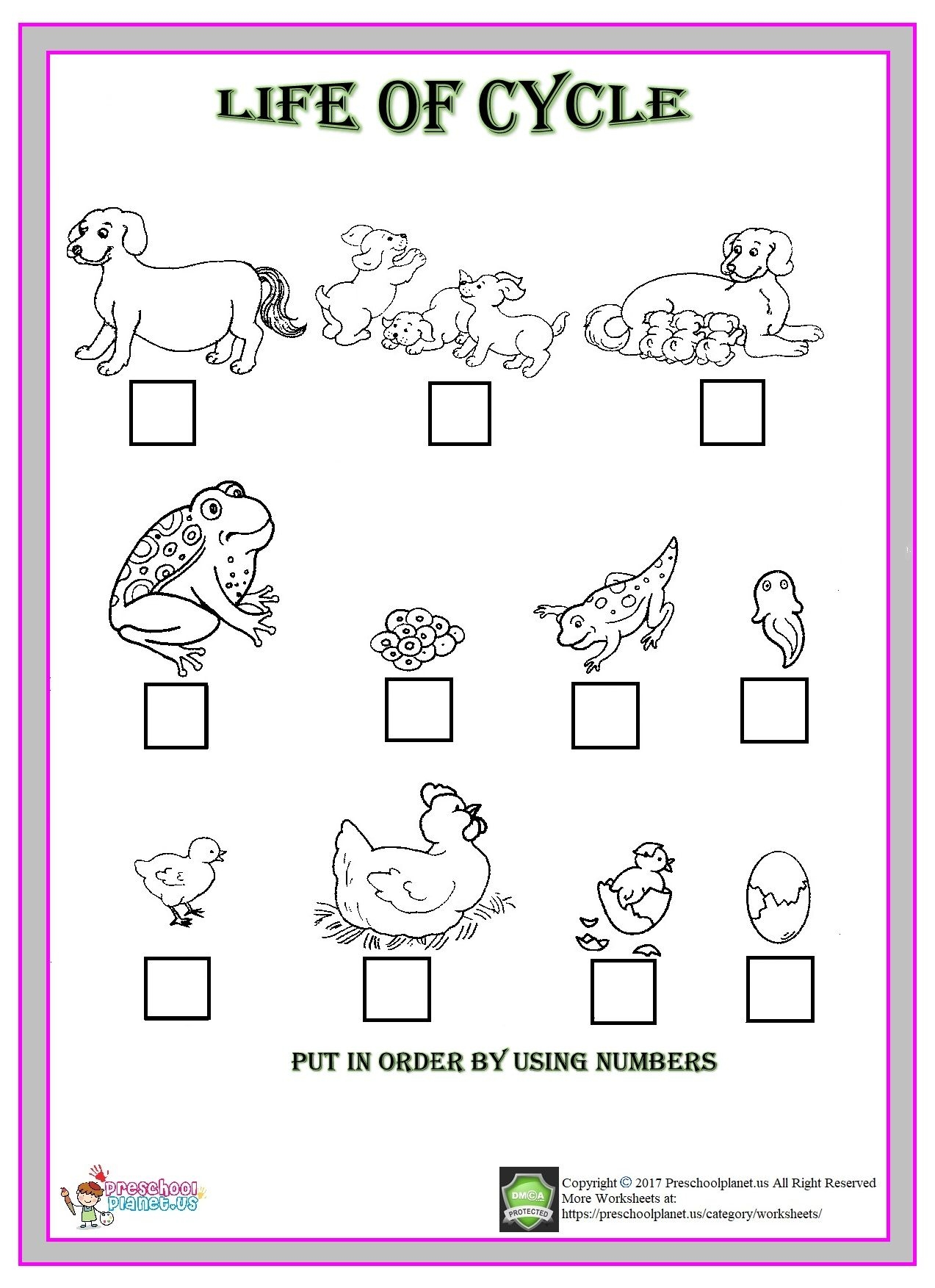 Animal Growth Cycle Coloring Sheet Animal Growth Cycle Coloring Sheet