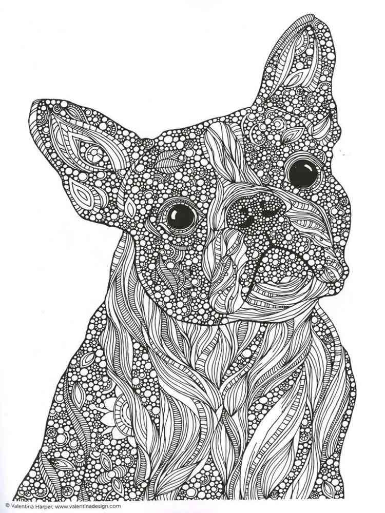 adult coloring pages animals adult coloring pages animals