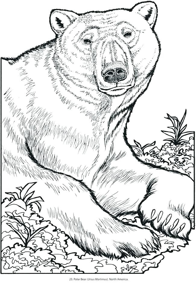 animals coloring pages free printable animals coloring pages free printable