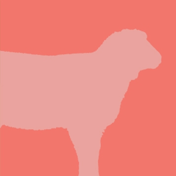 ANIMALS Yellow River Wildlife Sanctuary