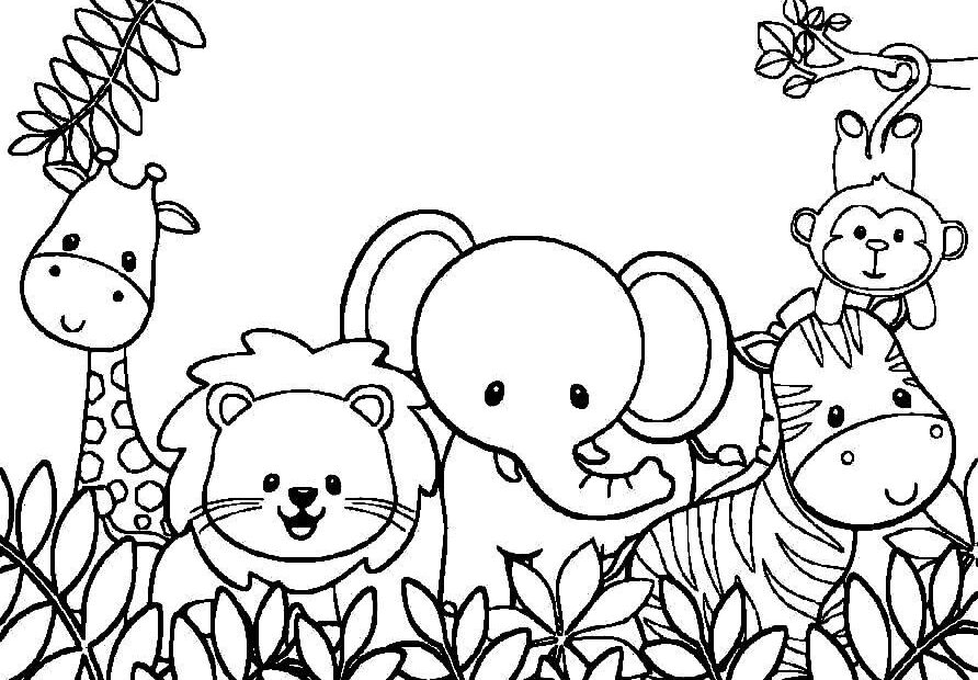 Animals Zoo Coloring Page Turkau