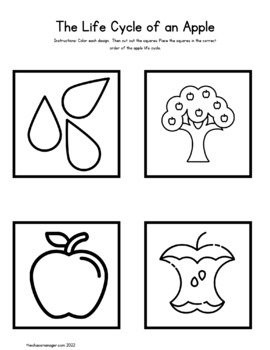 Apple Life Cycle Read Trace And Connect Worksheet Day 2 Of Apple Life Cycle Read Trace And Connect Worksheet Day 2 Of